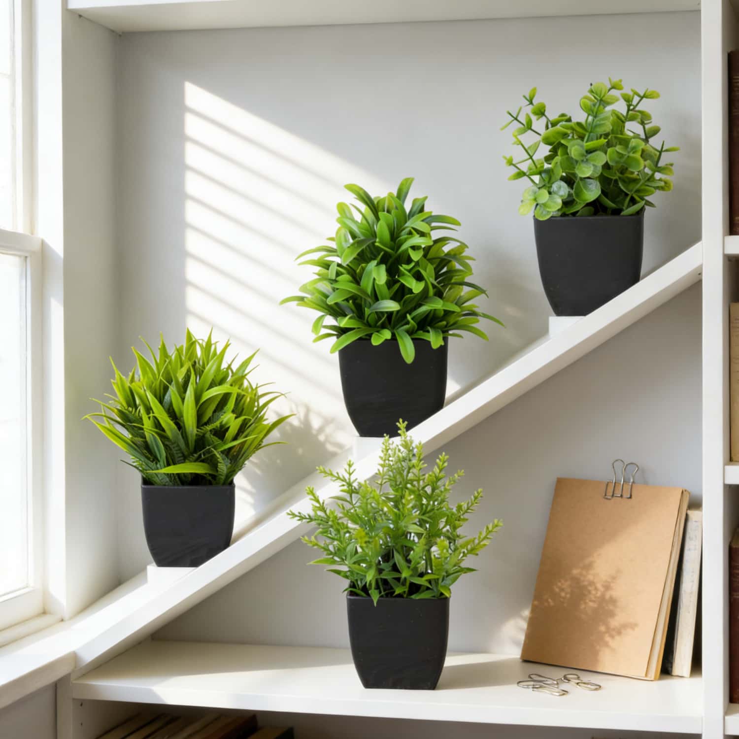 1 adet Gerçekçi Mini Okaliptüs - Home Office Layout incelemesi ve fiyatı